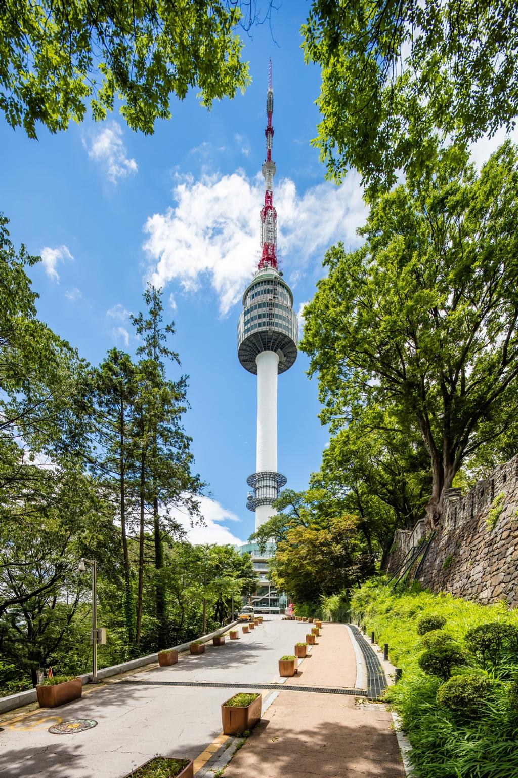 서울 남산 사진