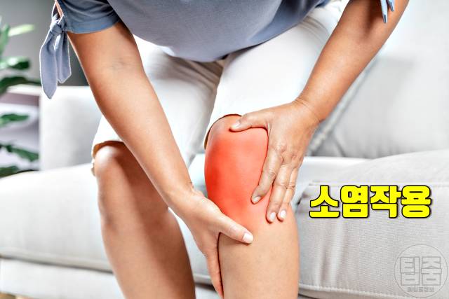 돌나물 효능,돌나물 무침 맛있게 만드는 법