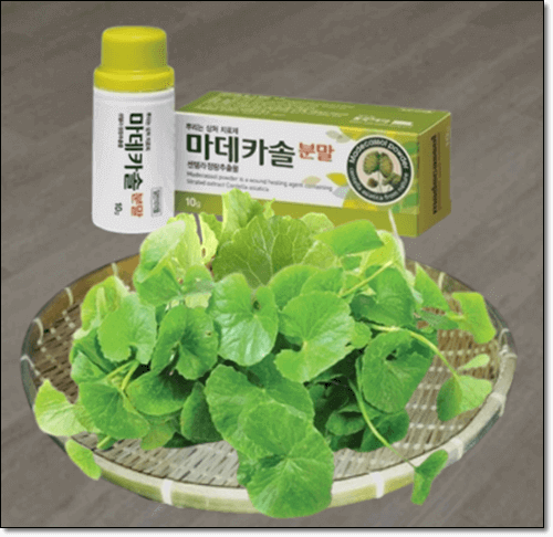 마데카솔과 병풀