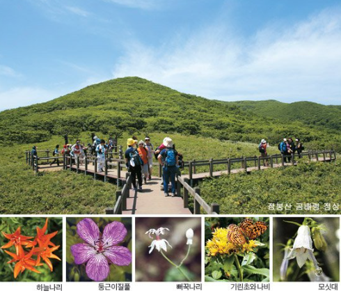 곰배령 예약하기