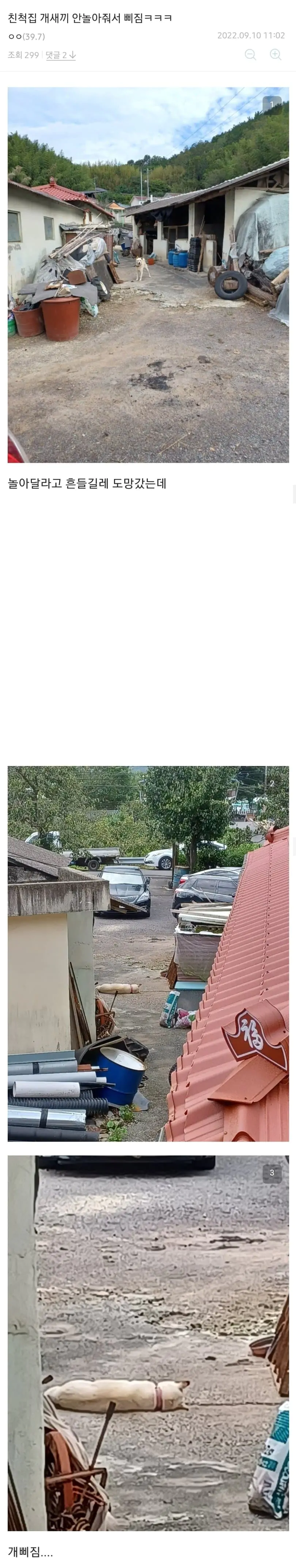 추석 친척집 개 안놀아줘서 삐짐