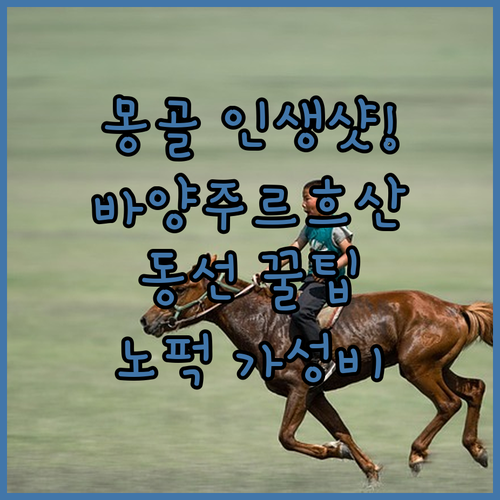 몽골 인생 사진 명소 바양주르흐산 동..