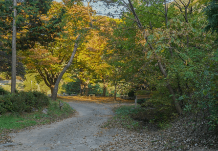 [명품숲길 50선 가을단풍 산행 ③] 청년 김대건길 : 역사와 단풍이 만나는 용인의 순례숲