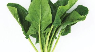 췌장에좋은음식이미지