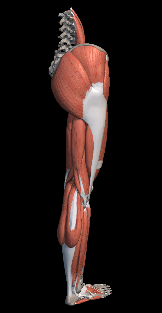 근육통 빨리 푸는법