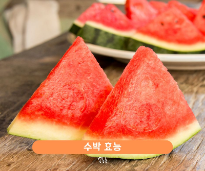 수박 효능