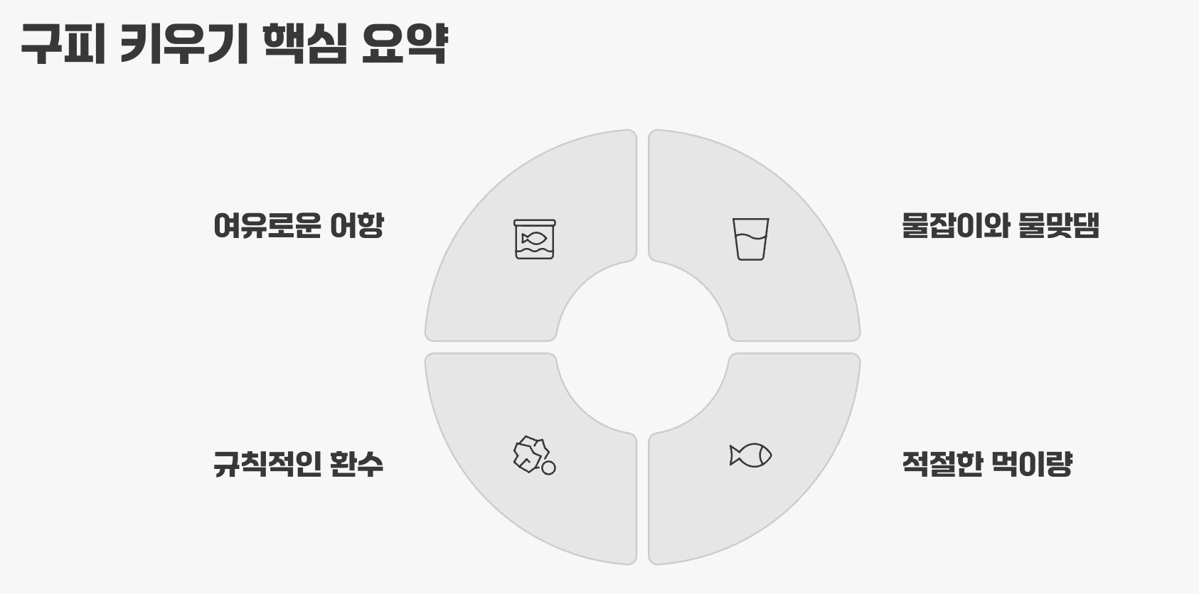구피 키우기 핵심 요약