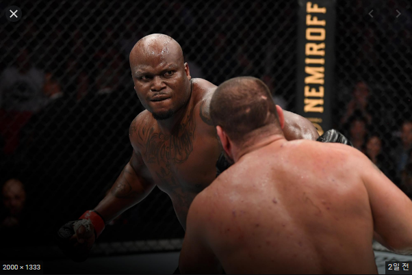 커티스 블레이즈