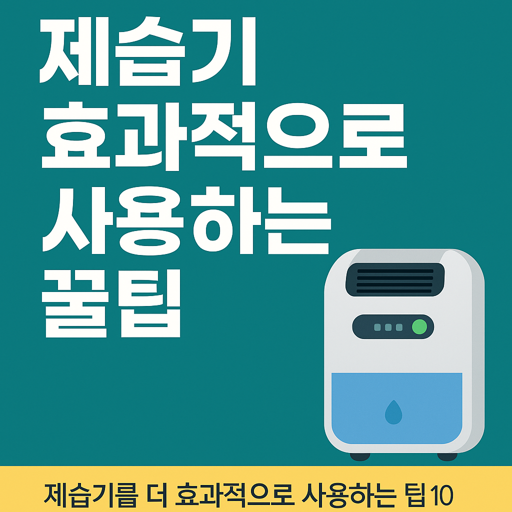 제습기 효과적으로 사용하는 꿀팁