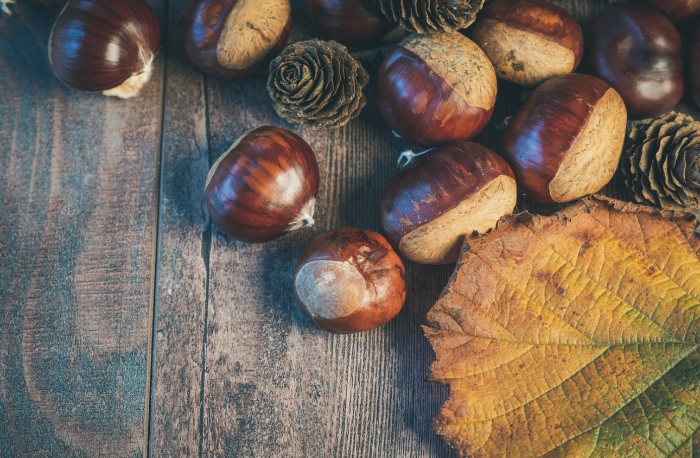 가을대표디저트_보늬밤