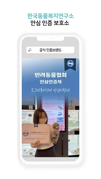 유기묘 새끼 고양이 무료 분양 어플 앱-17 유기묘 새끼 고양이 무료 분양 어플 앱-17