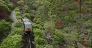 화담숲 예약하기