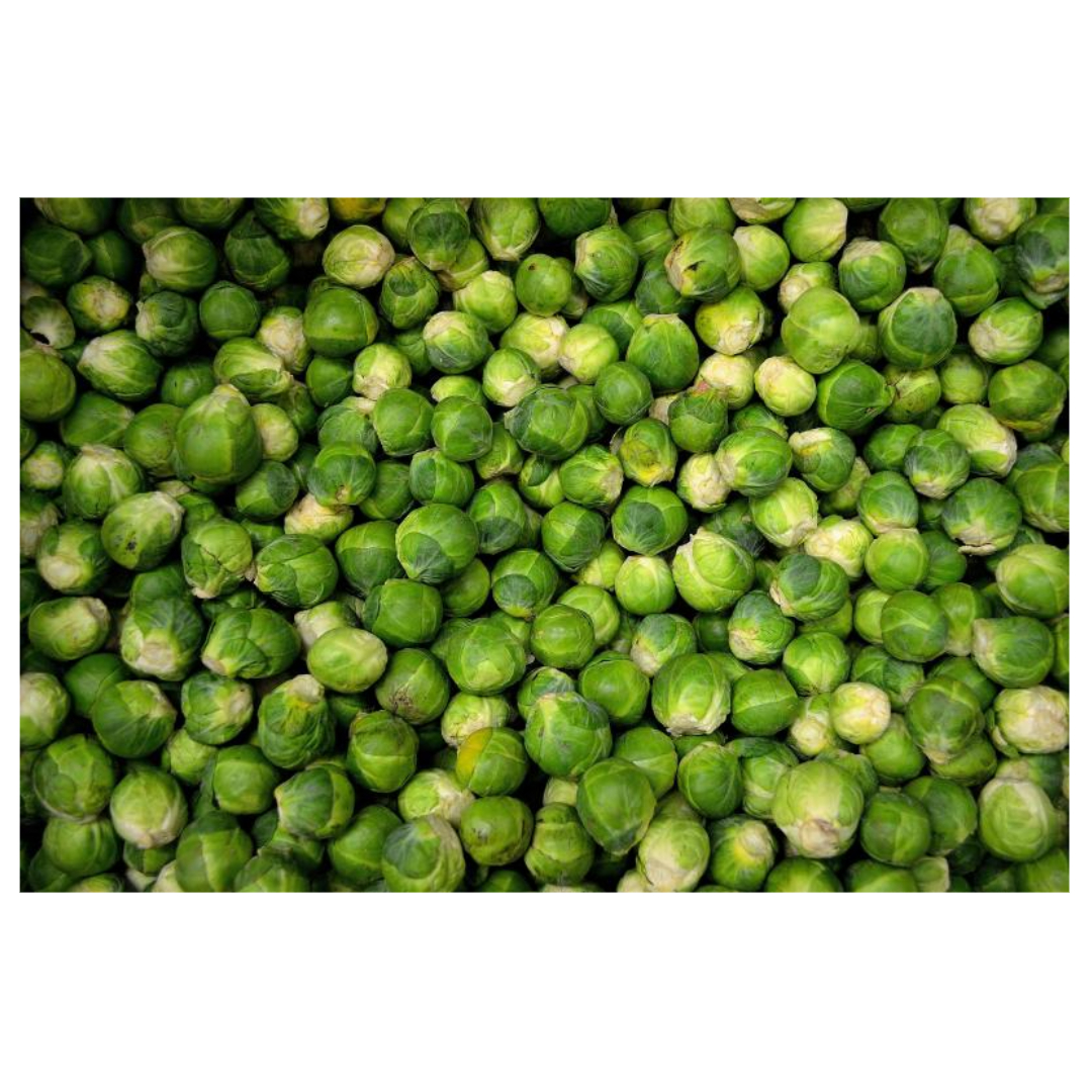 유방암과 관련된 사진입니다.