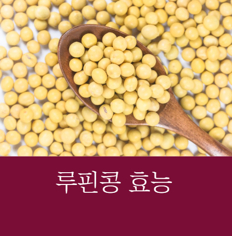 루핀콩 효능과 루핀콩 먹는법