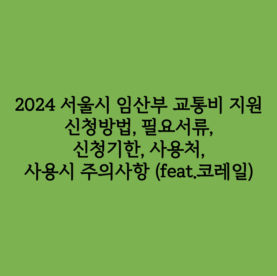 2024 서울시 임산부 교통비 지원