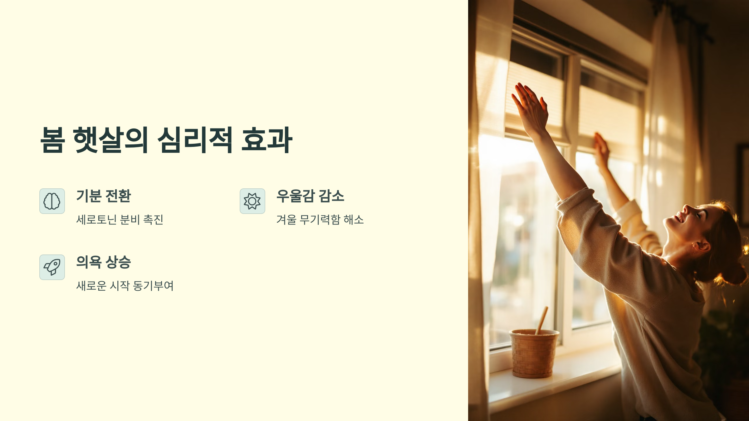 봄 햇살의 심리적 효과