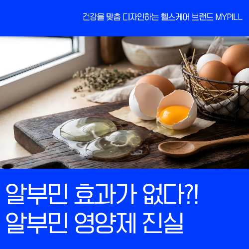 알부민 영양제 진실