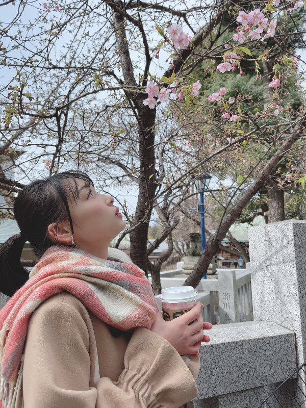 토키타 아미(Ami Tokita) 벗꽃 구경