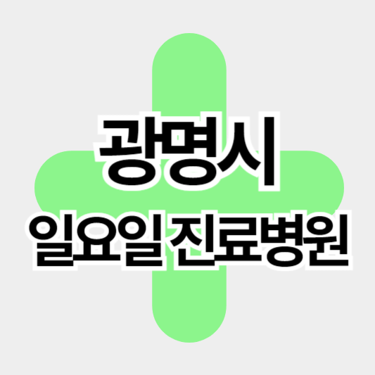 광명시_일요일병원_썸네일