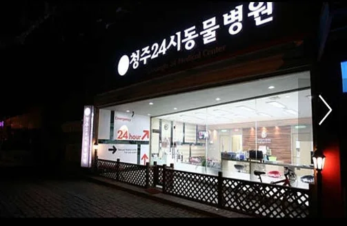 청주24시동물병원