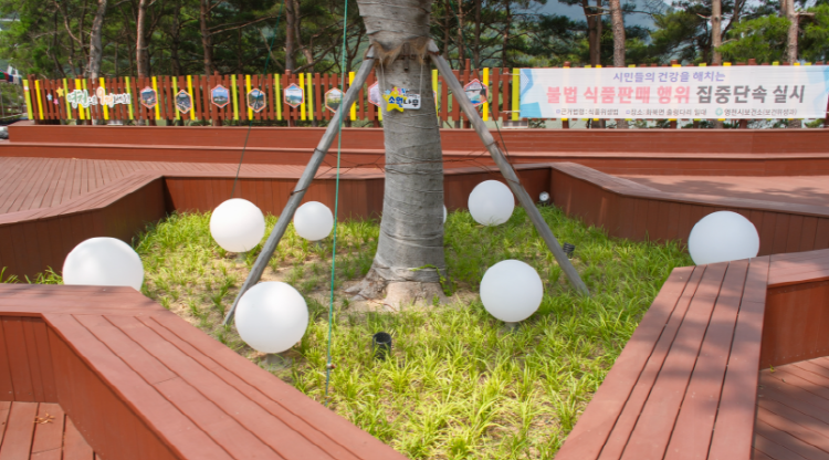 영천 보현산댐 출렁다리