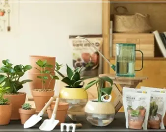 다이소-재고조회-방법