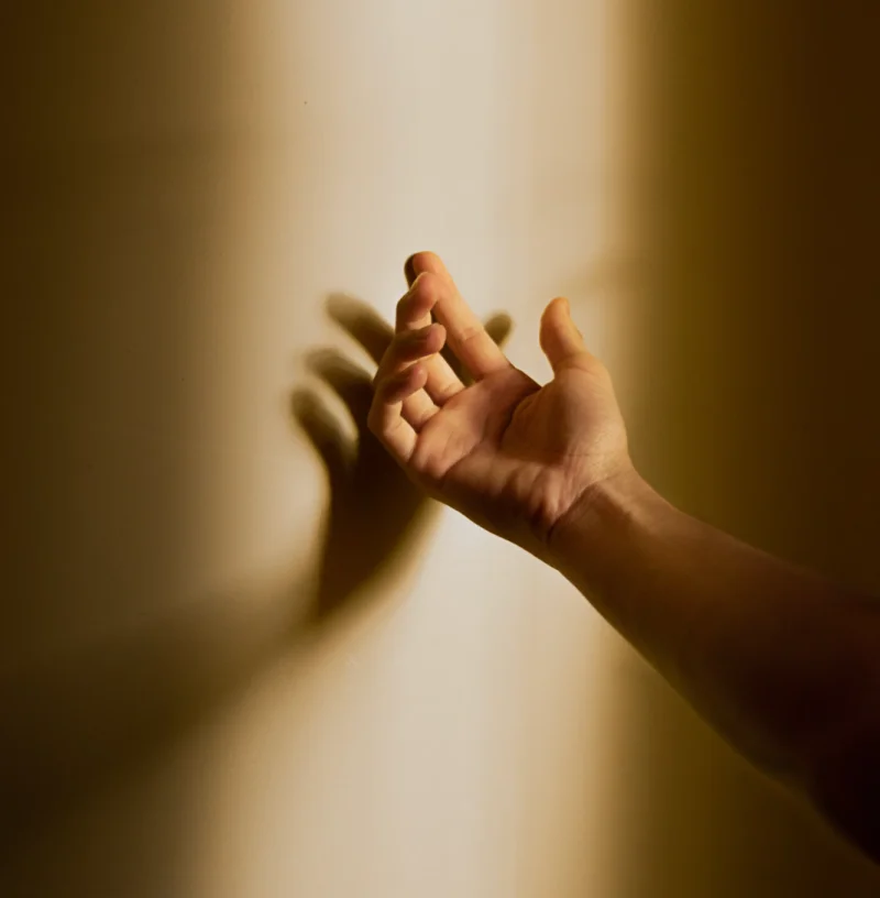 마르판 증후군 증상