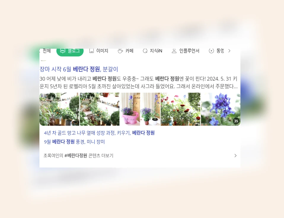 베란다 정원_1_subsection