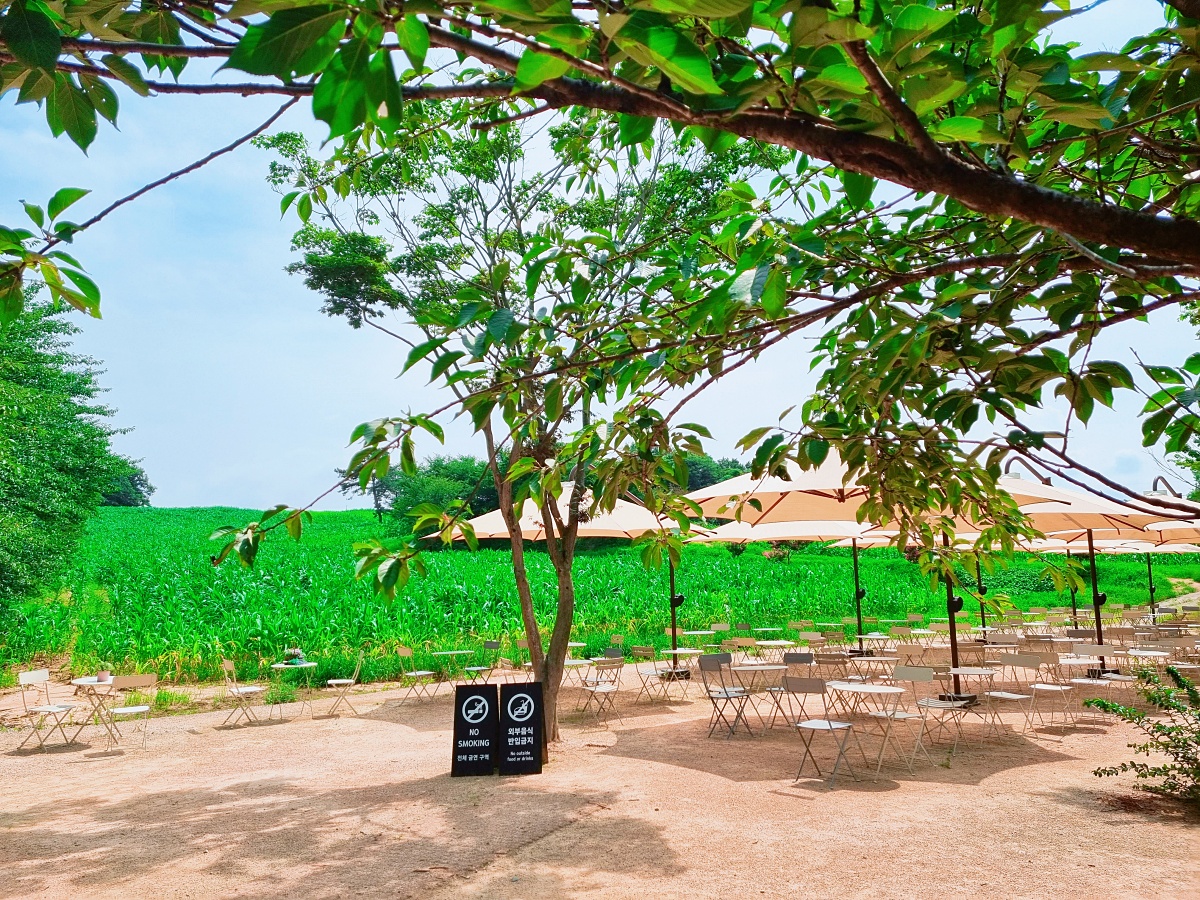 충남 당진 평양냉면 맛집 미당면옥, 블루리본 정원 카페 피어라: 아미미술관 근처 맛집