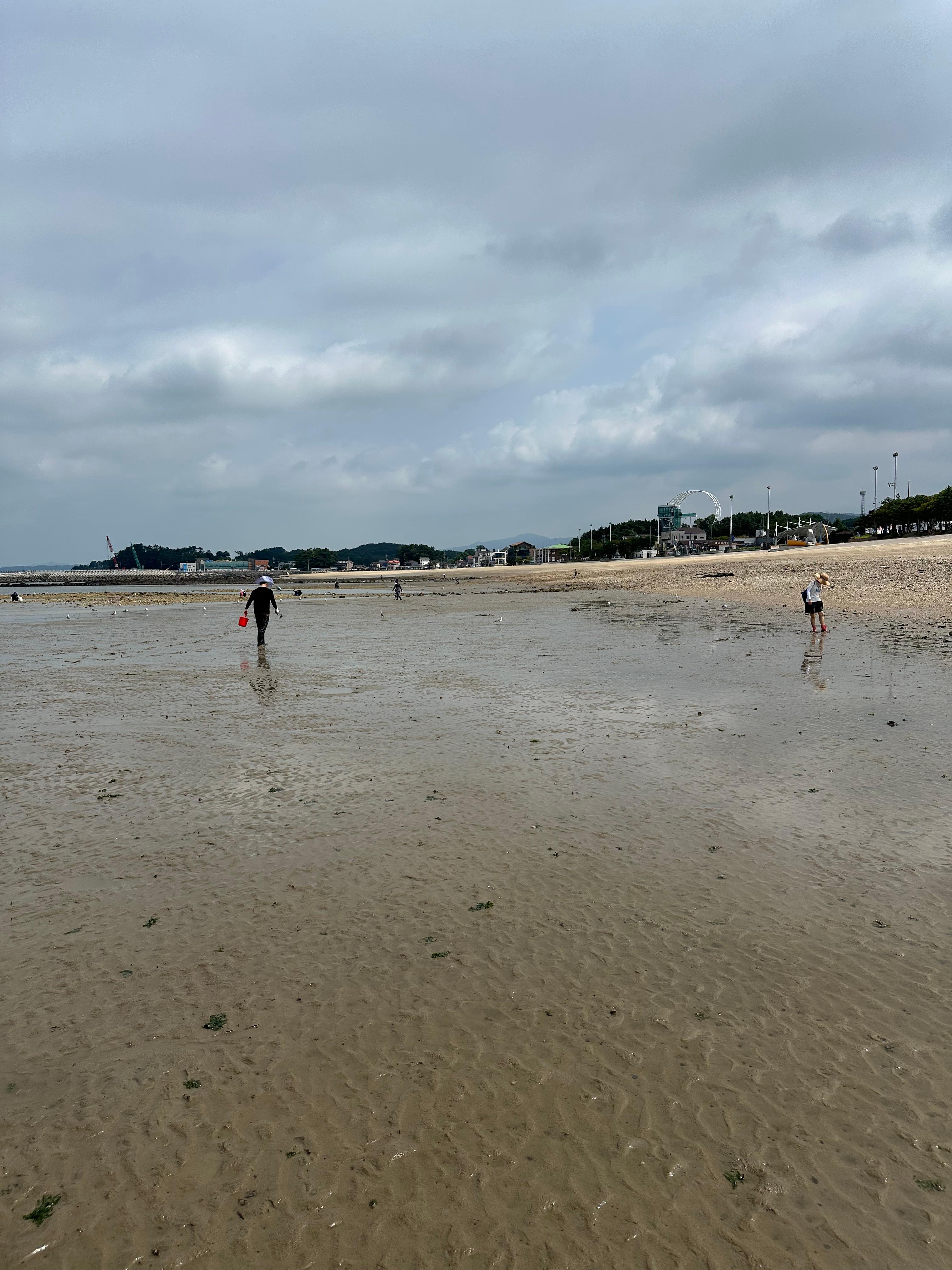 Travel Review 2: Boryeong, Daecheon, and Muchangpo in Chungnam, Korea (Family Travel Destination Recommendation, Muchangpo Beache Palace, Mudflat Experience, Sky Bike Price &amp; Duration, Daecheon Restaurants &amp; Lunch Spots, Daecheon Beach, Stunning Sunset, Closed Sanghwawon, Daecheon Port Fish Market, Useong Fisheries, Suyeonho Fisheries, Muchangpo Beache Palace, Ocean View, Lodging with Kitchen Facilities, Muchangpo Pension)