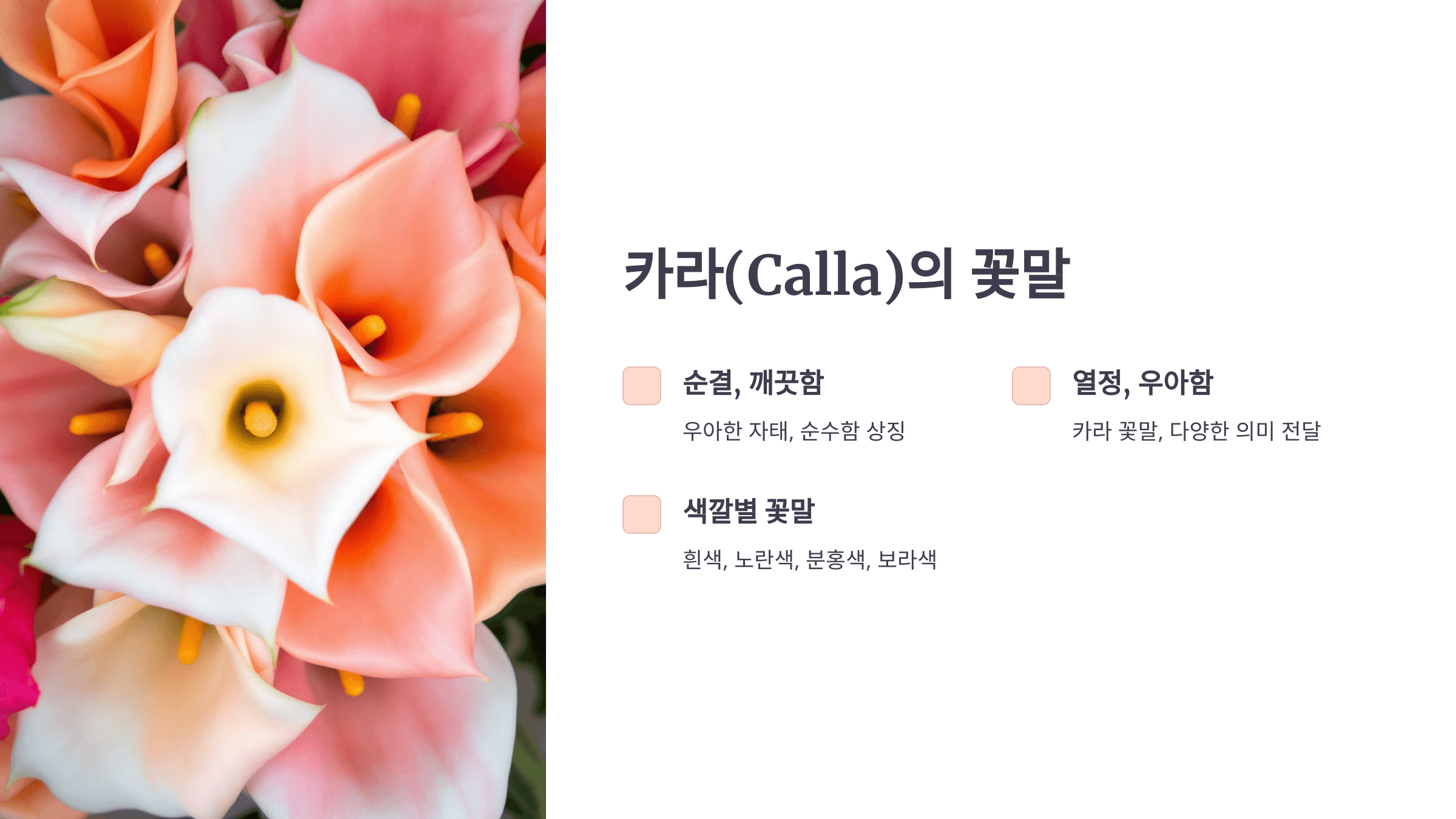 카라꽃 사진입니다.