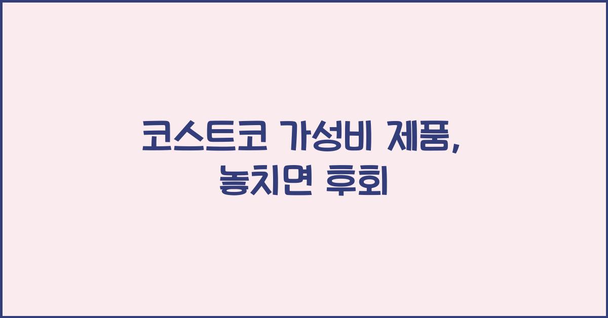 코스트코 가성비 제품