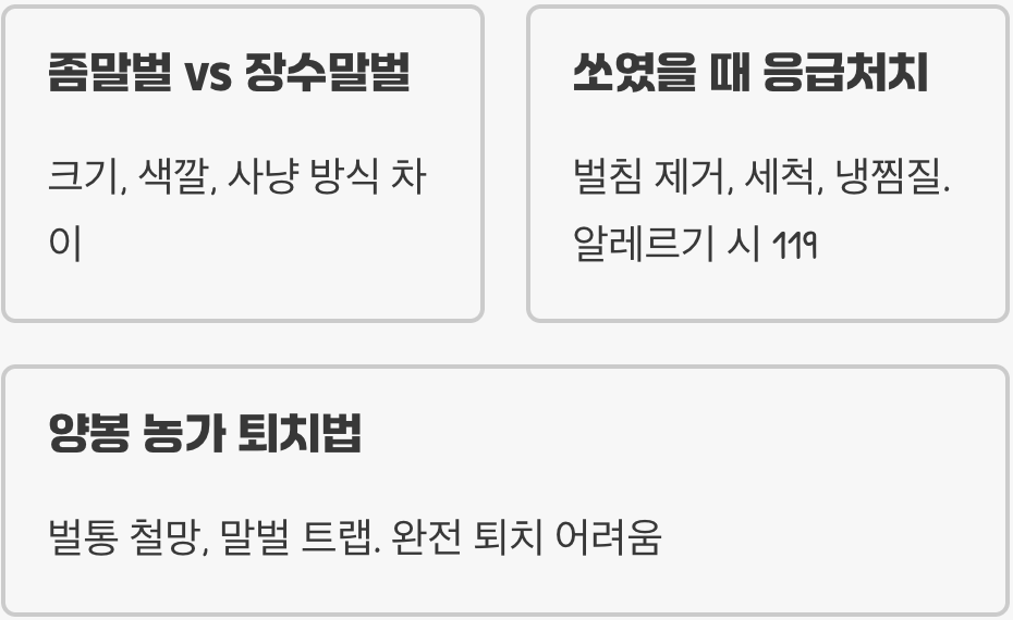 좀말벌&amp;#44; 꿀벌 양봉 농가에 치명적인 피해를 주는 이유