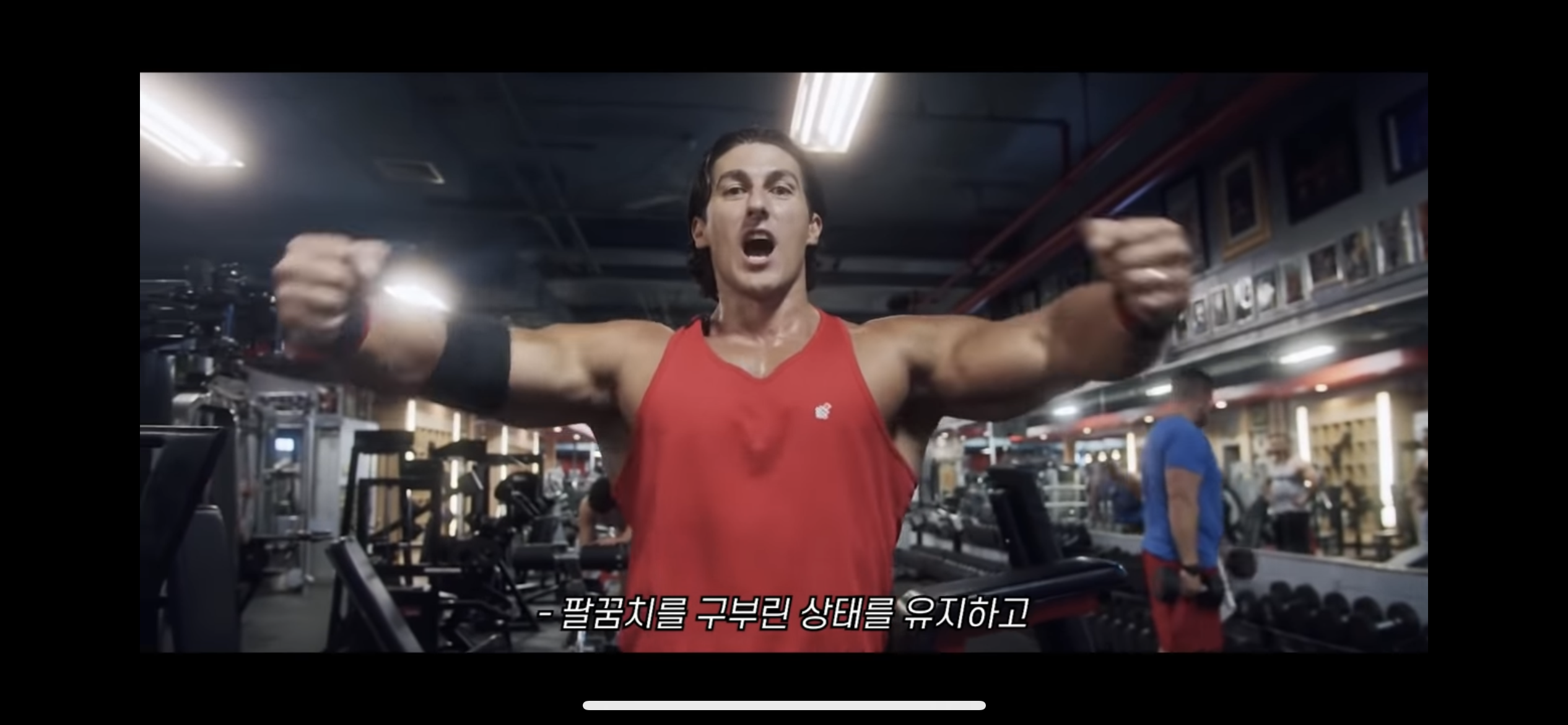 벡덱 플라이 준비