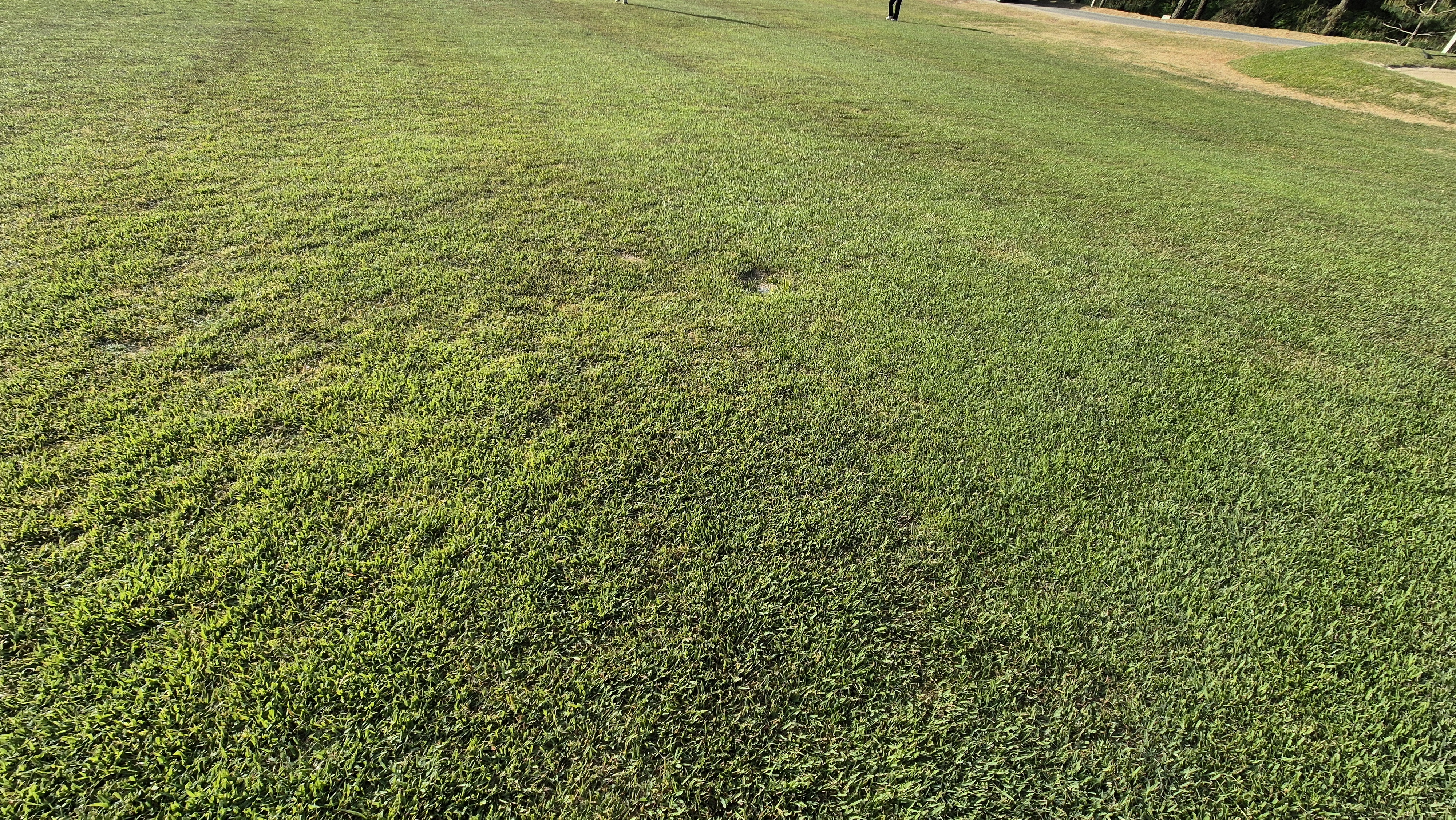 한원cc 라운드후기