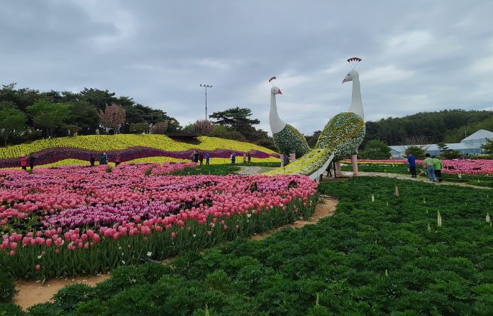  세계 튤립 꽃 박람회란?