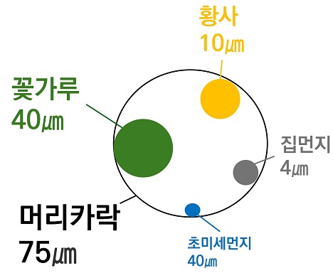 먼지별 크기 비교
