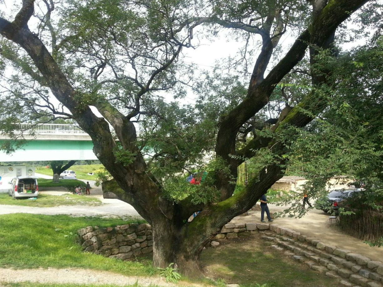 삼강주막