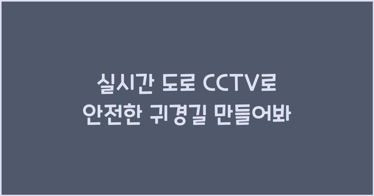 실시간 도로 cctv