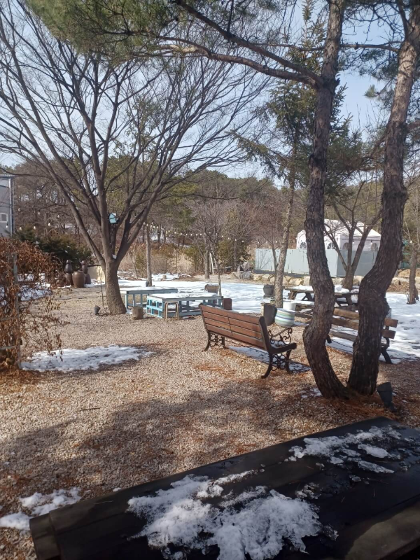 마당