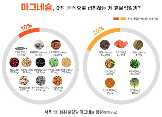 마그네슘 효능
