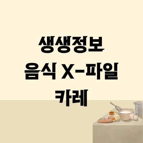 생생정보 음식X파일 카레