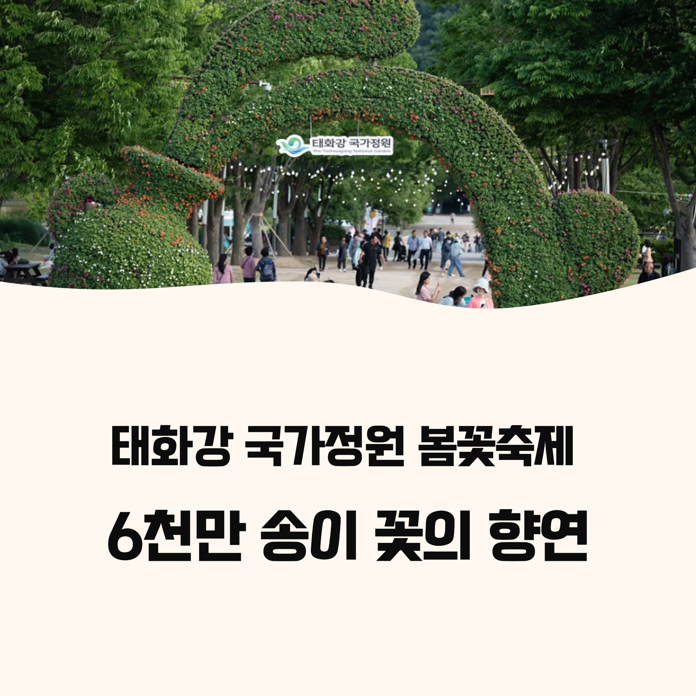 울산 태화강 국가정원 봄꽃축제