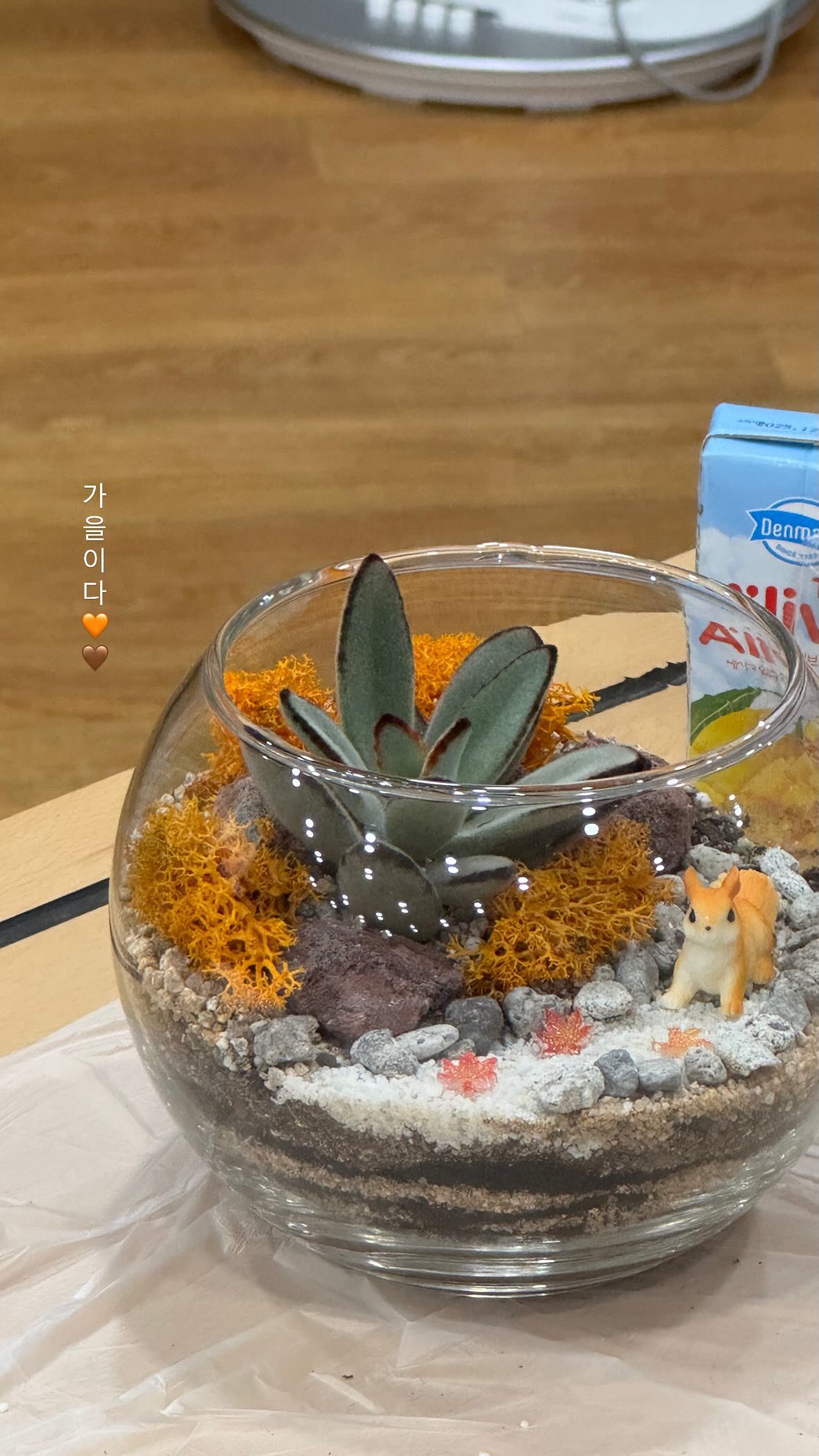 경기도 테라리움 클래스