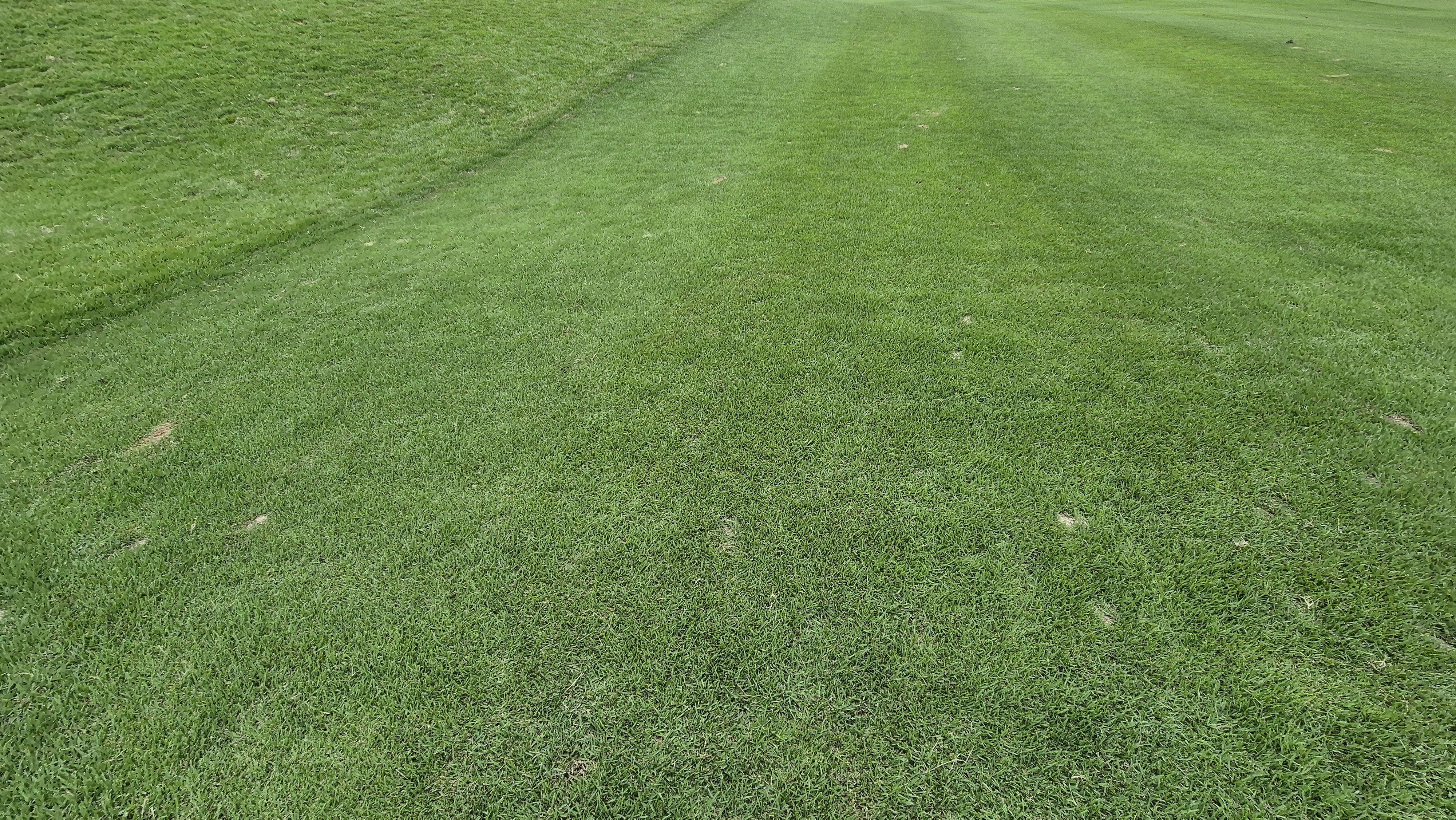 한림용인cc 다이아몬드-사파이어 코스 라운드 후기