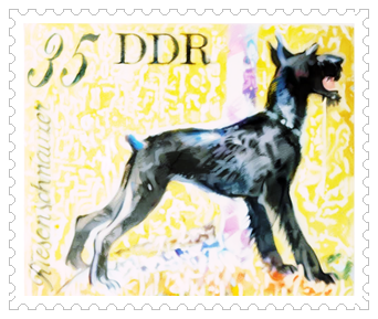 무사히 임무 완료