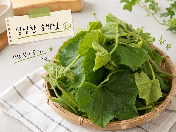 호박잎 찌는법