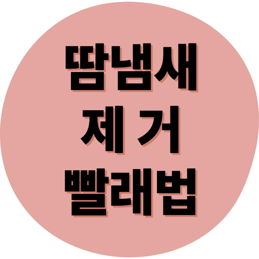 땀냄새 제거 빨래법
