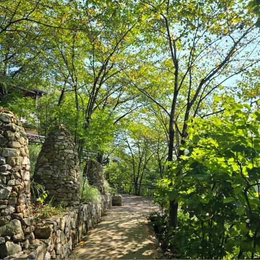 화담숲 모노레일 구간 이용 방법과 요금3