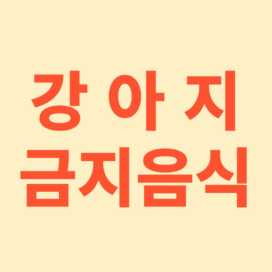 강아지 금지 음식
